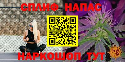 стаф Анапа