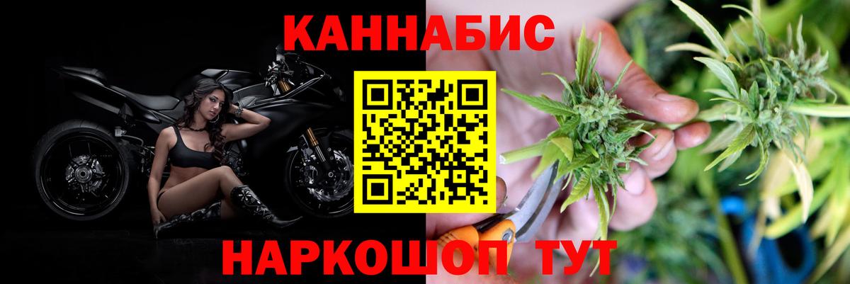 Марихуана сатива Ивантеевка